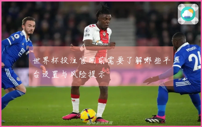 世界杯投注官网前需要了解哪些平台设置与风险提示
