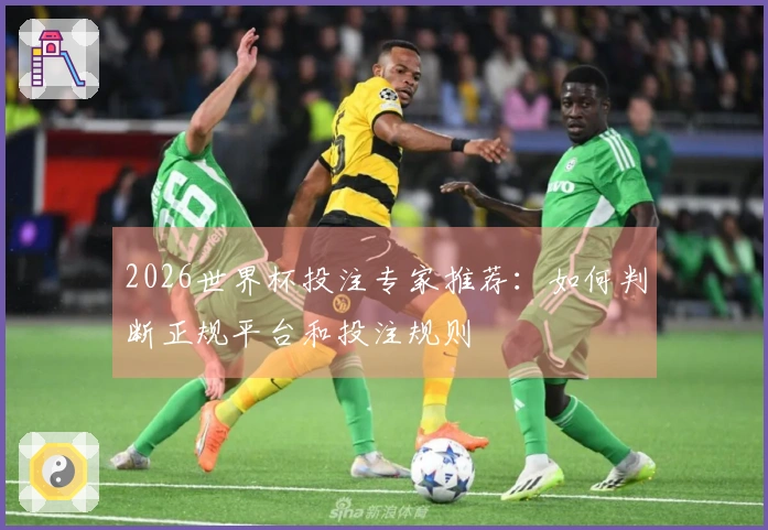 2026世界杯投注专家推荐：如何判断正规平台和投注规则